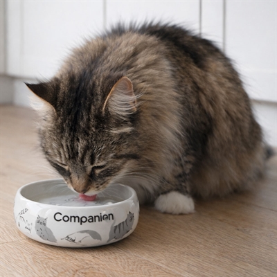 Keramikskål til kat